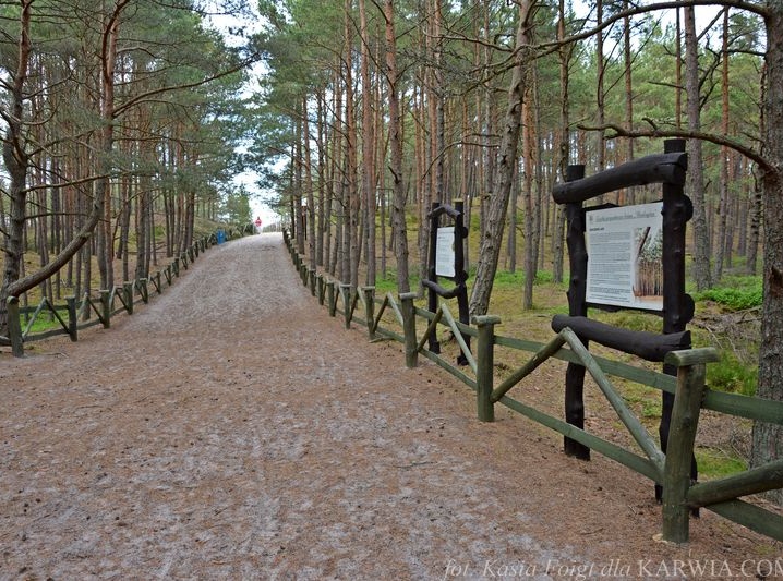 Ścieżka przyrodniczo-leśna w Białog&oacute;rze