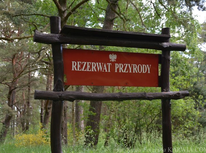 Ścieżka przyrodniczo-leśna w Białog&oacute;rze