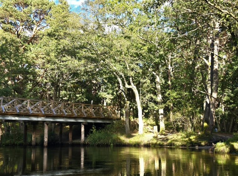 Kajaki Na Fali, Spływy kajakowe Dębki - Piaśnicą do morzaMostek rzeka Piaśnica