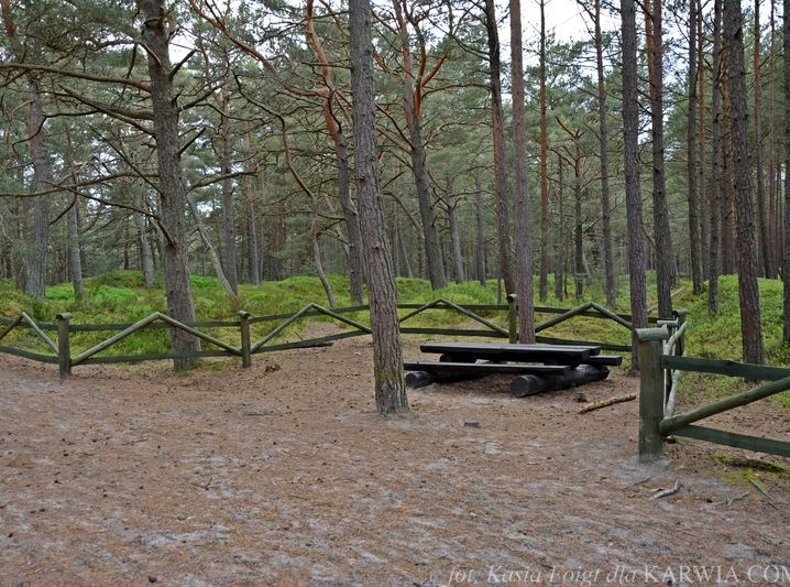 Ścieżka przyrodniczo-leśna w Białog&oacute;rze 