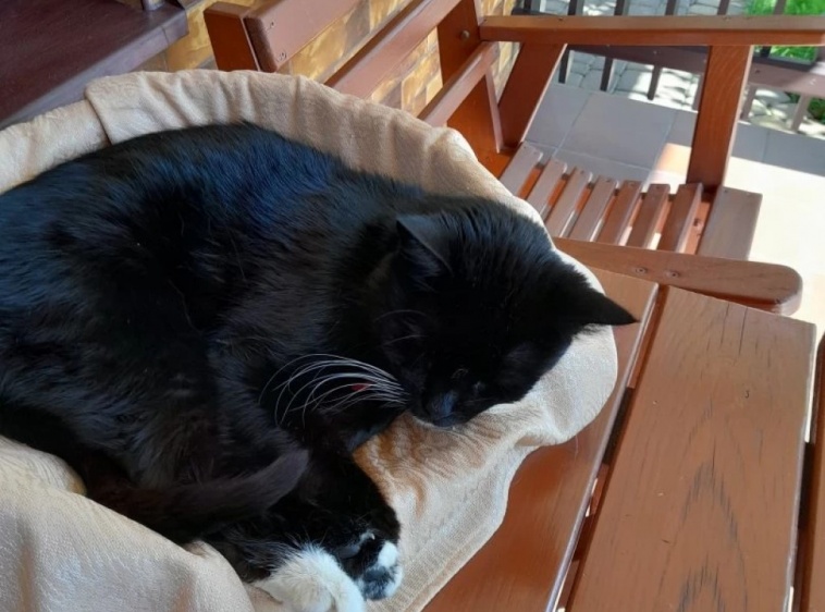  DALIA Pokoje Gościnne DALIA?v=1.0