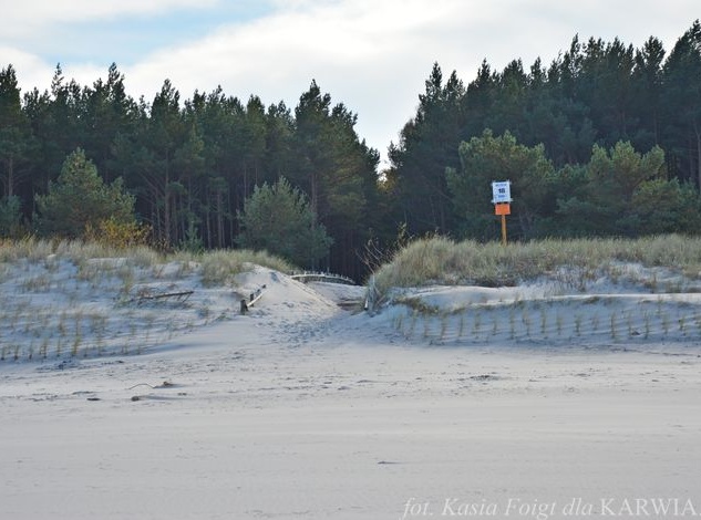 Plaża między Karwią a Dębkami 