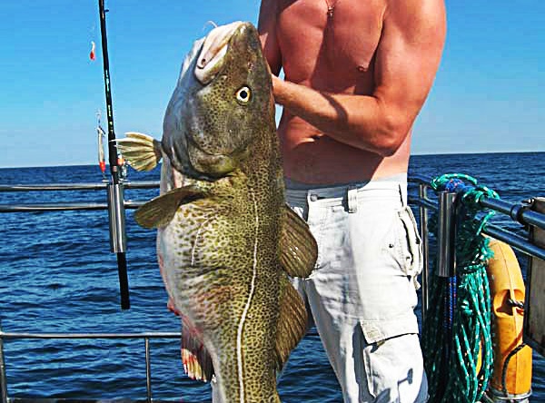 WLA65 - Wędkarstwo Morskie