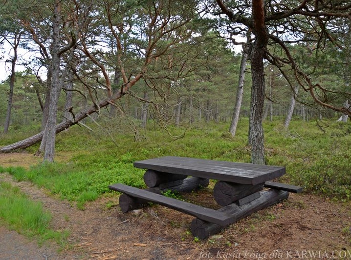 Ścieżka przyrodniczo-leśna w Białog&oacute;rze